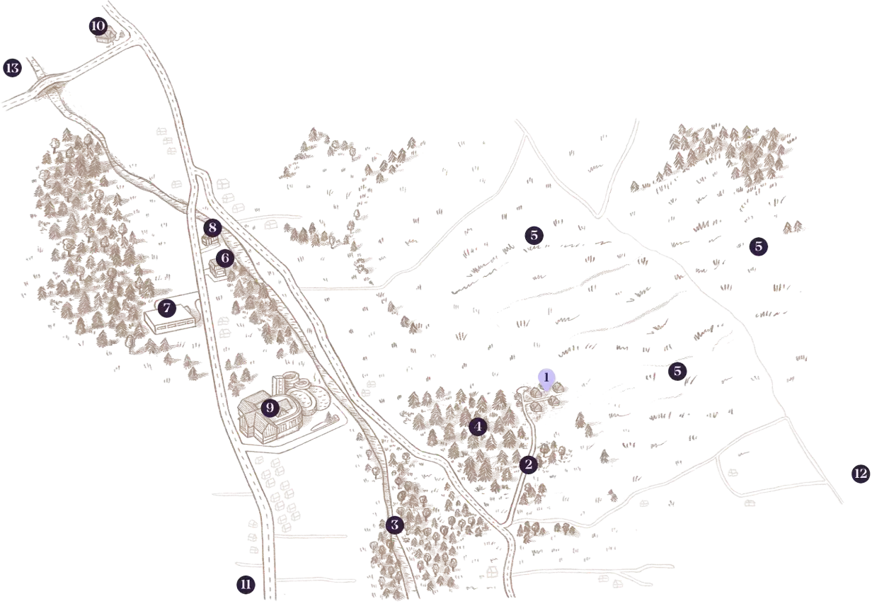 Mapa Okolicy Jagodowa Nowa V3.3